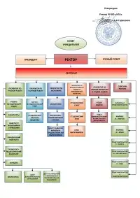 Организационно-штатная структура и факультеты